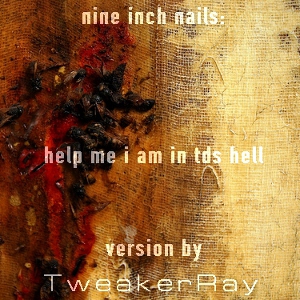 TweakerRay - Help Me I Am In TDS Hell (Coverversion)